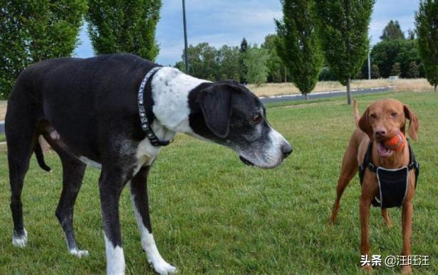 20221109163619_71827 20221109163619_71827