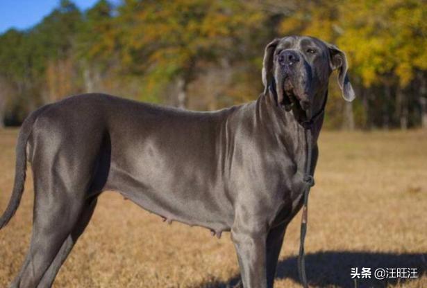 20221109163620_29628 20221109163620_29628