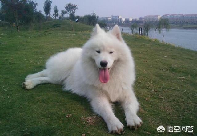 20221109165720_30891