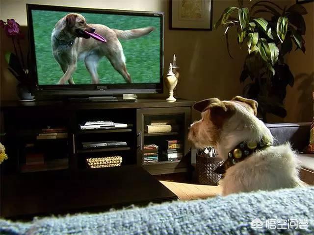 20221109185127_21440 20221109185127_21440