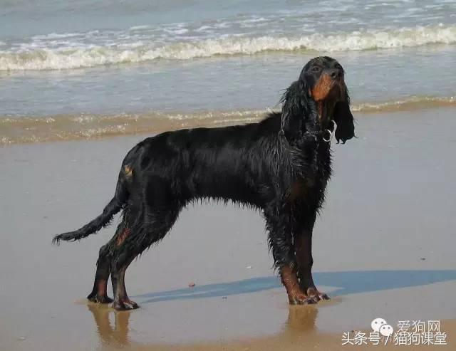 20221109214704_39398 20221109214704_39398