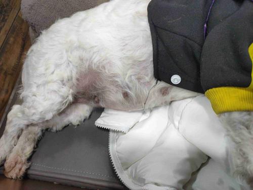 20221109225744_90423 20221109225744_90423