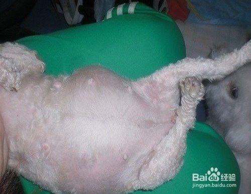 20221109225744_96094 20221109225744_96094