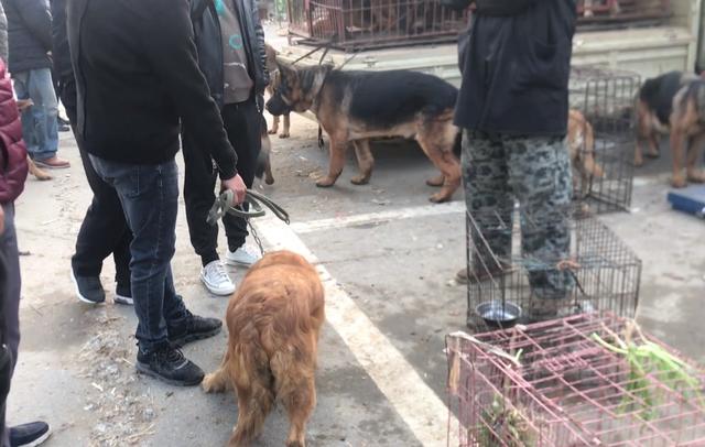 20221109232546_68966