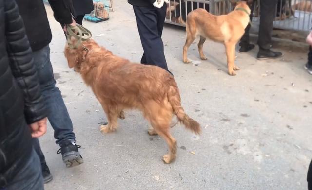 20221109232546_71544