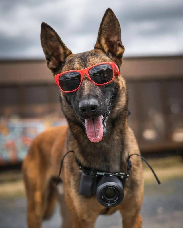 20221109233143_44324