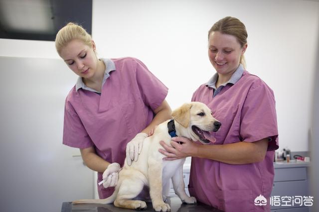 20221110000630_59682 20221110000630_59682