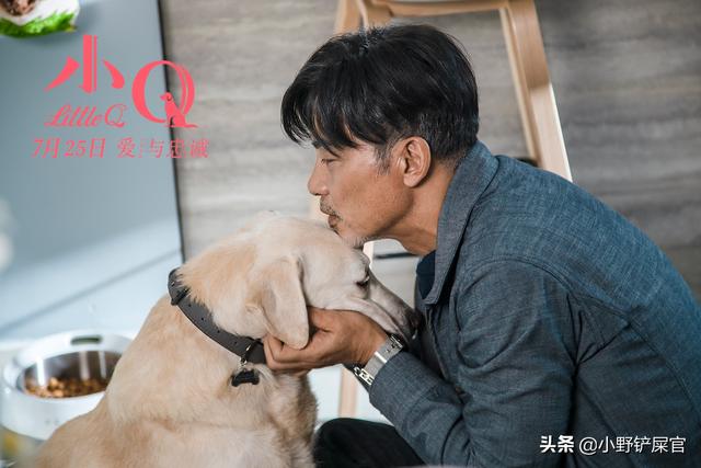 爱与狗同行-警犬训练器材厂家 _警犬训练用品_工作犬训练用品-南京开久警犬装备