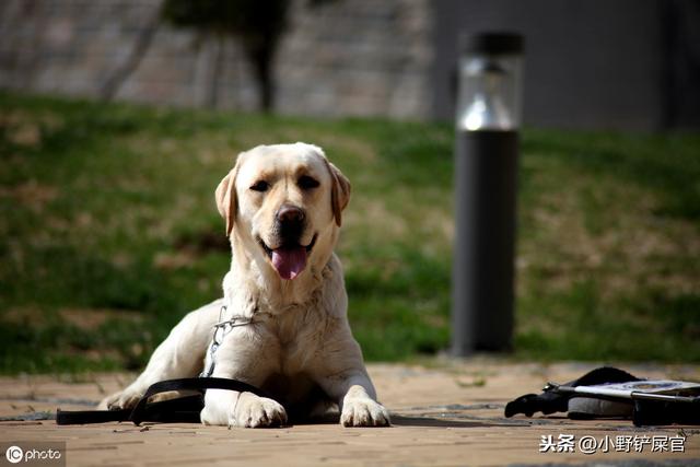 20221110003726_29072