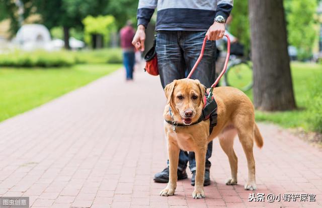 20221110003727_17969