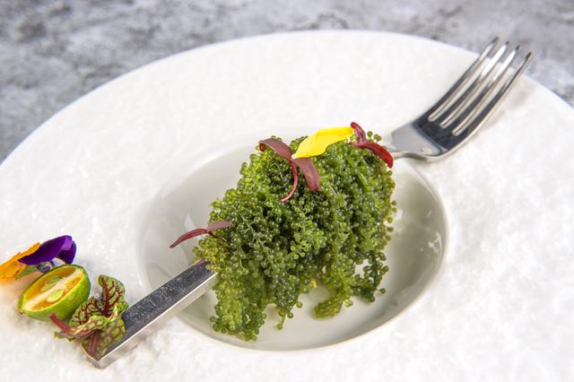 20221110013516_41540