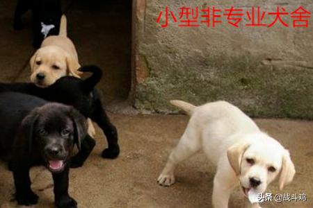 20221110020036_36506