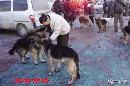 20221110020036_68141