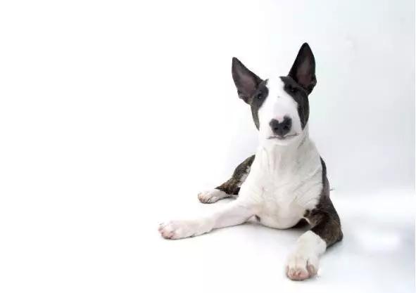 20221110085651_90970 20221110085651_90970