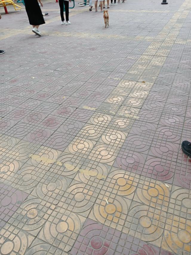 20221110085814_19471 20221110085814_19471