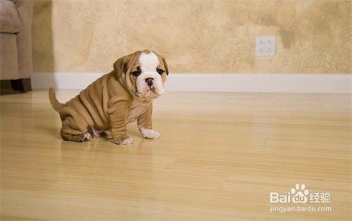 20221110100605_66479