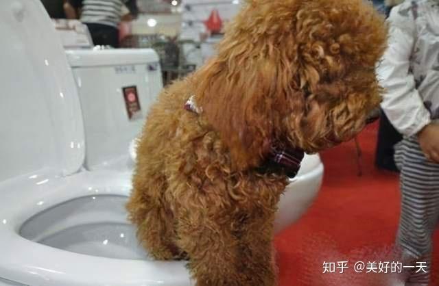 20221110100605_67110