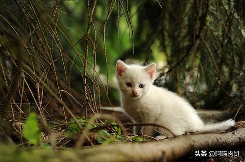 20221110101236_65840