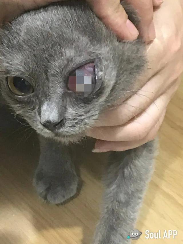 20221110101237_30154 20221110101237_30154