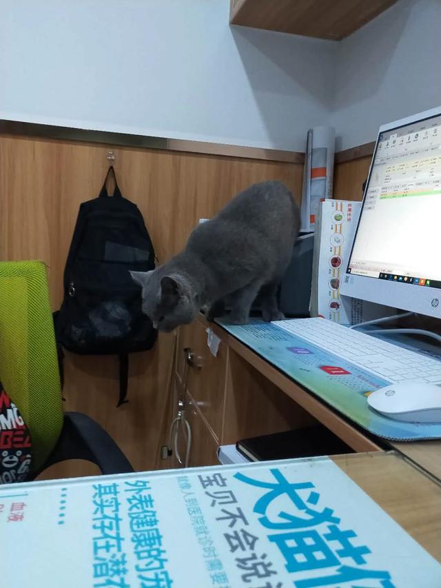 20221110101237_89897