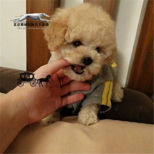 20221110104001_76710