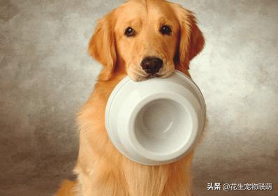 20221110130939_19630