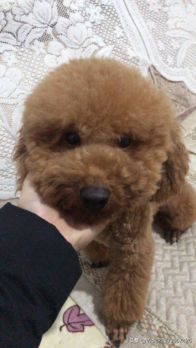 20221110130939_25878