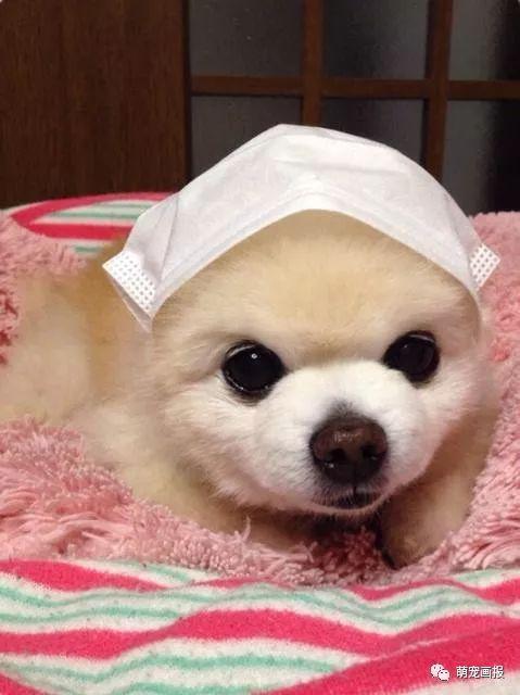 20221110134923_11313