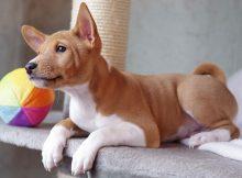 20221110164649_86466