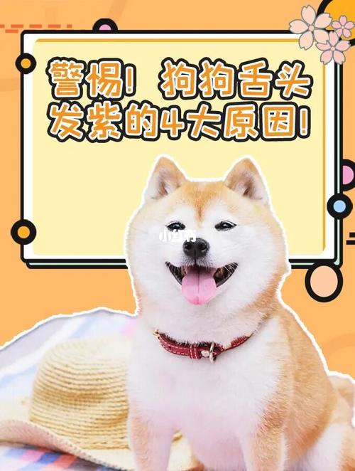 狗狗舌头很烫什么原因:我的狗现在这时候-警犬训练器材厂家 _警犬训练用品_工作犬训练用品-南京开久警犬装备