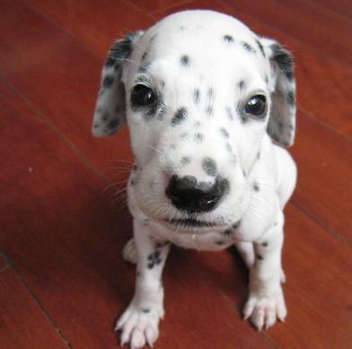 20221110171231_52554