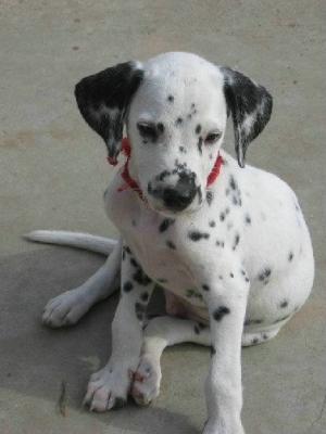 20221110171231_62708