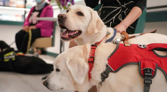 20221110180608_95127