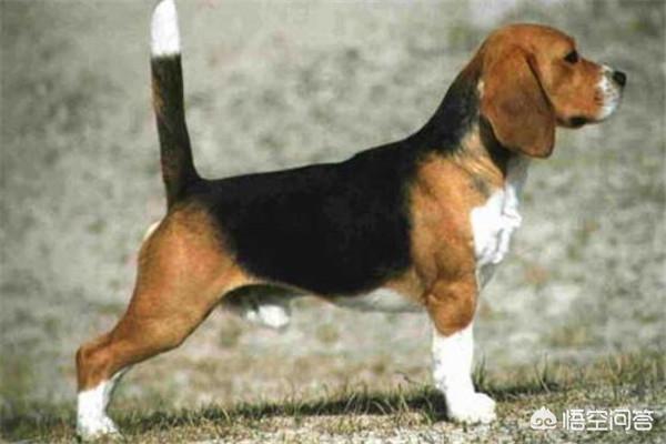 20221110190446_74934