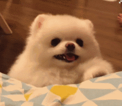 20221110213521_91435