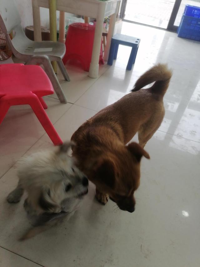 20221111083511_75118 20221111083511_75118