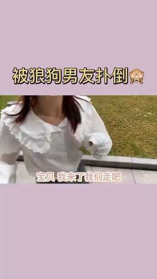 小狼狗男友是什么样子的？有个小狼狗男友是什么体验知乎-警犬训练器材厂家 _警犬训练用品_工作犬训练用品-南京开久警犬装备