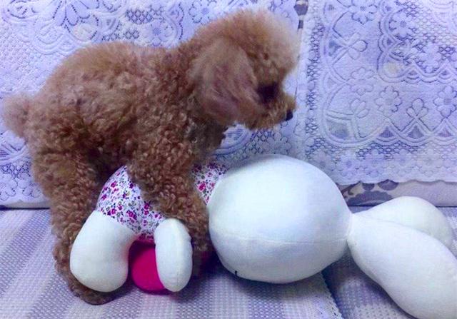 20221111093410_49615 20221111093410_49615