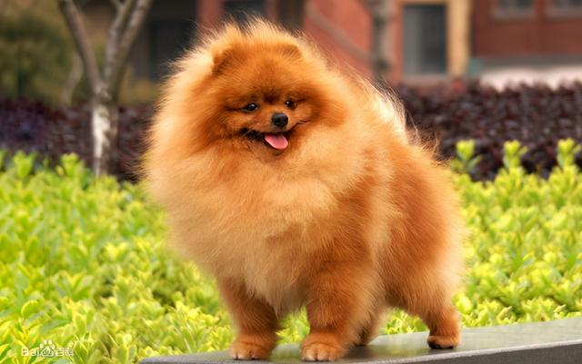 20221111110632_82101