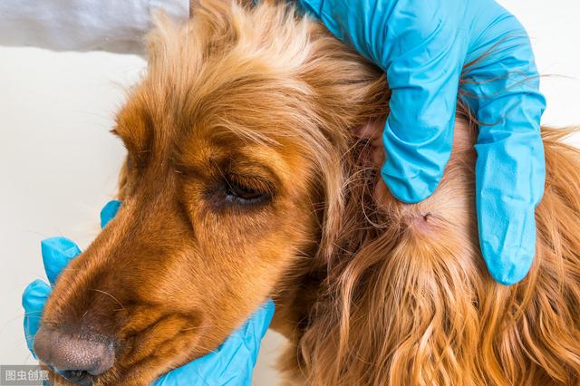 20221111111222_41403