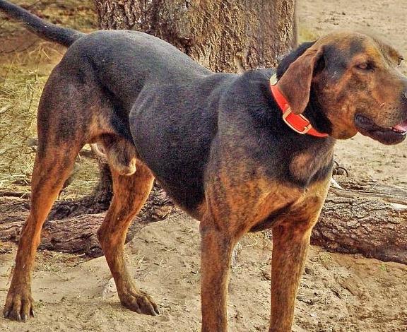 20221111133714_90253 20221111133714_90253