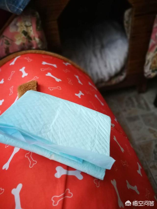 20221111134057_39936