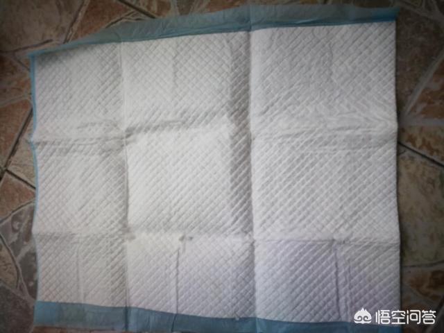 20221111134057_51488