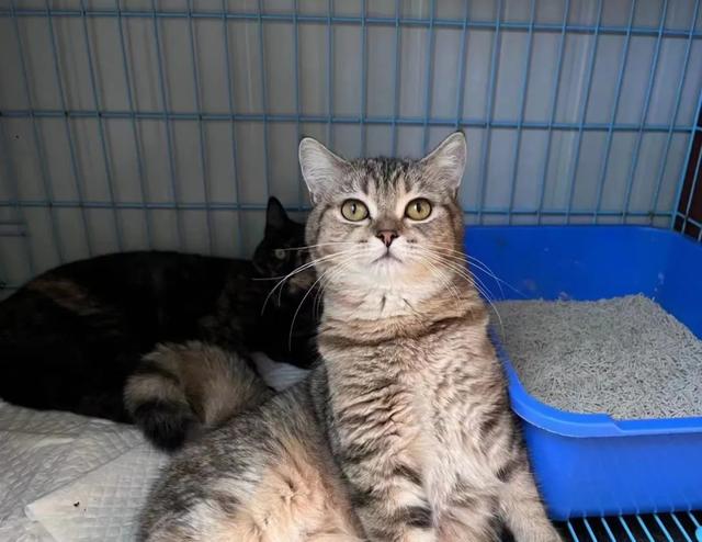 20221111135915_61157