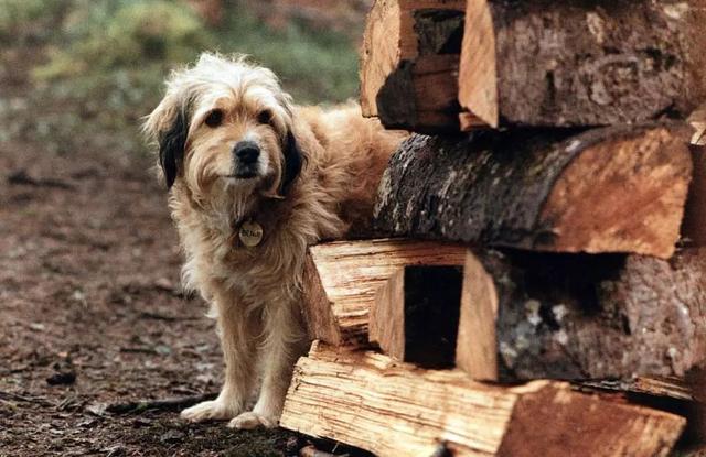 20221111144834_40147