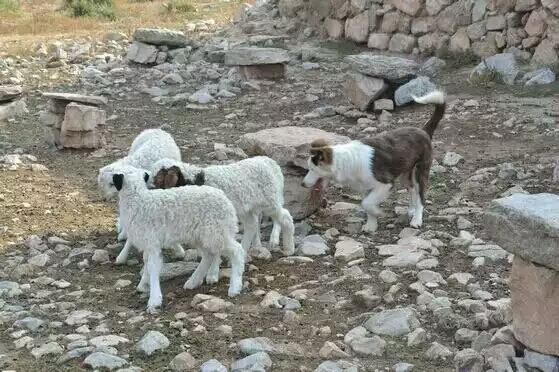 20221111165156_72533