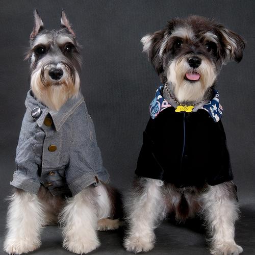 20221111180627_48133 20221111180627_48133