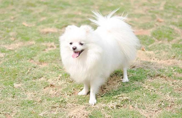 20221111180818_89358 20221111180818_89358