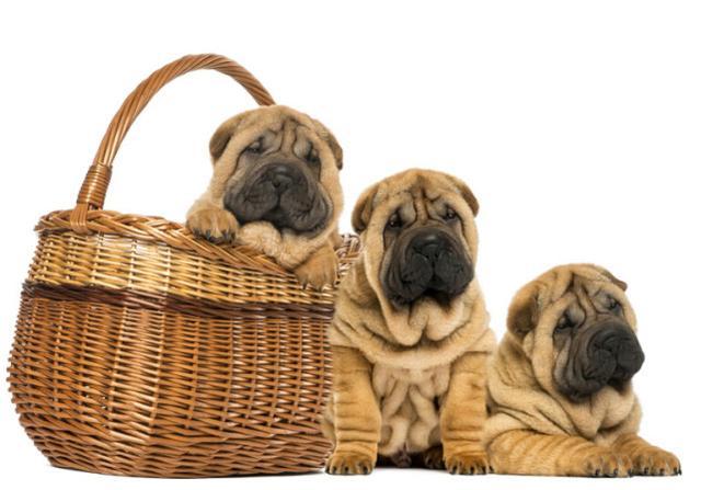 20221111181241_41892