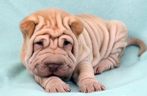 20221111181241_66926